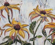 Rudbeckia d'Hiver Blanc - Galerie Echaude